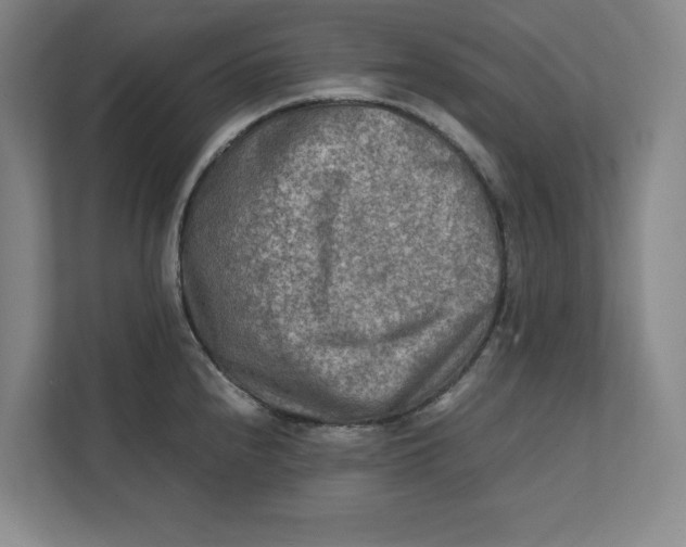 X0000112411240200909041350