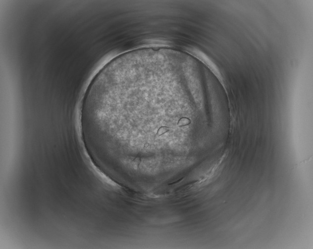 X0000112411243200909041350