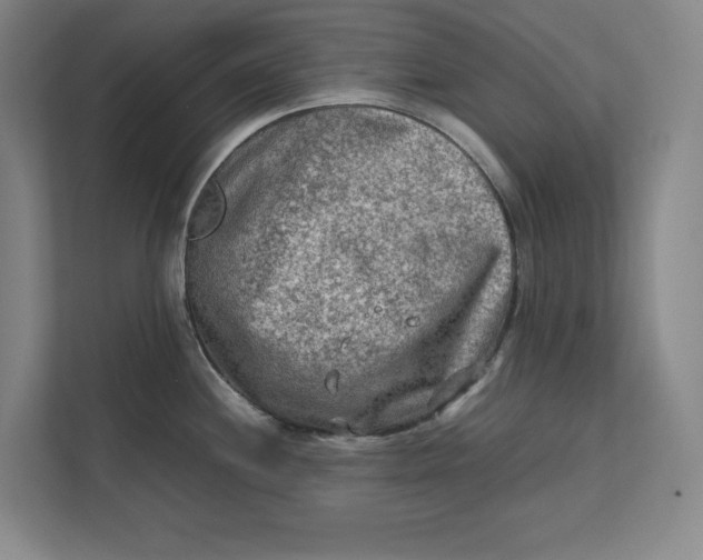 X0000112411244200909041350