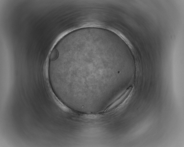 X0000112411246200909041350