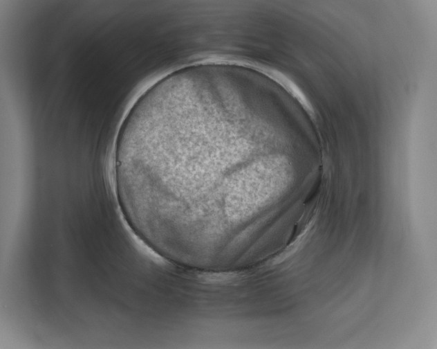 X0000112411247200909041350