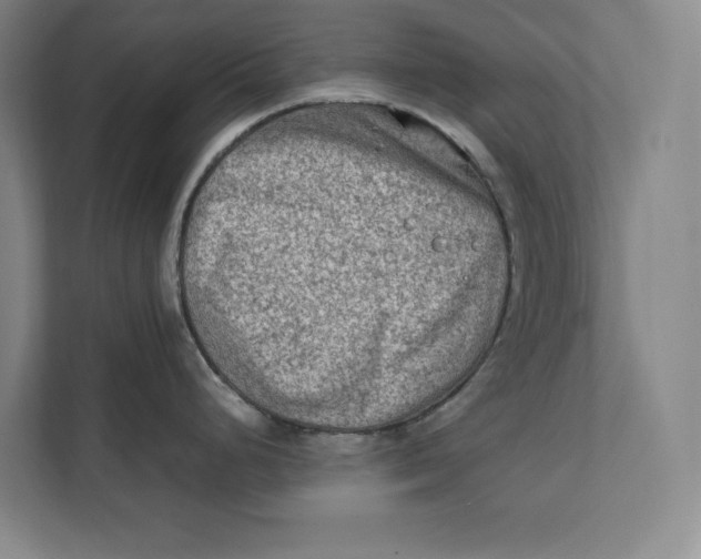 X0000112411248200909041350