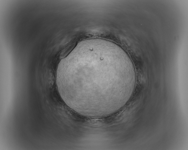 X0000112411253200909041349