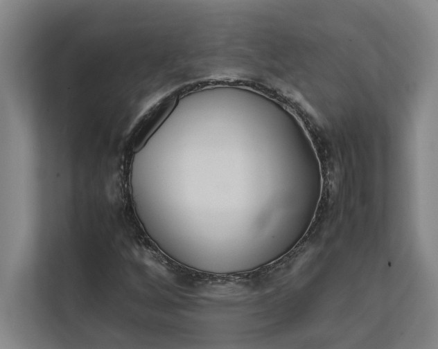 X0000112411256200909041349