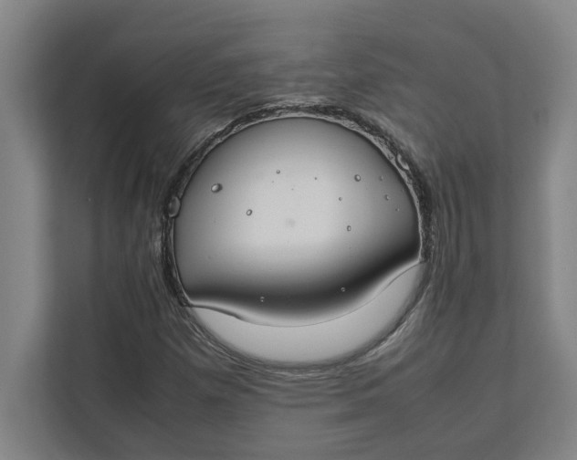 X0000112411257200909041349