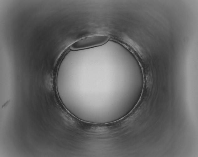 X0000112411260200909041349