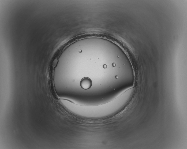 X0000112411261200909041349