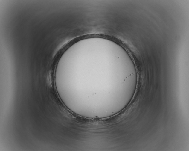 X0000112411262200909041349