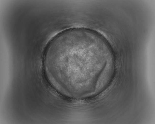 X0000112411263200909041349