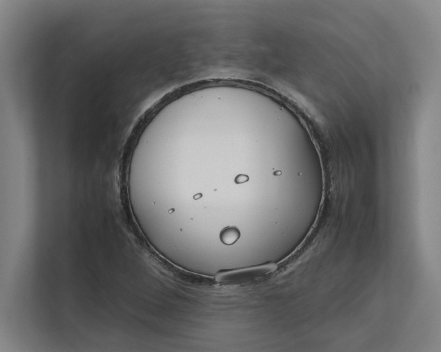 X0000112411264200909041349