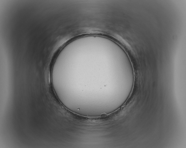 X0000112411269200909041349