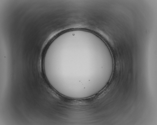 X0000112411270200909041349