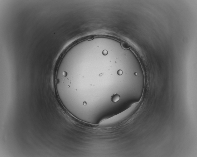 X0000112411272200909041349