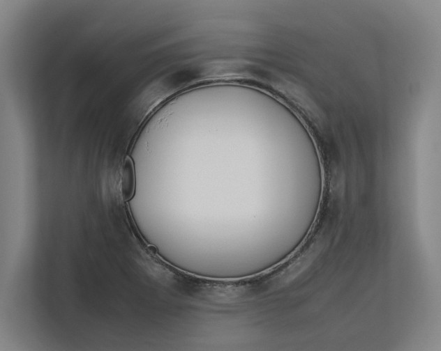 X0000112411273200909041349