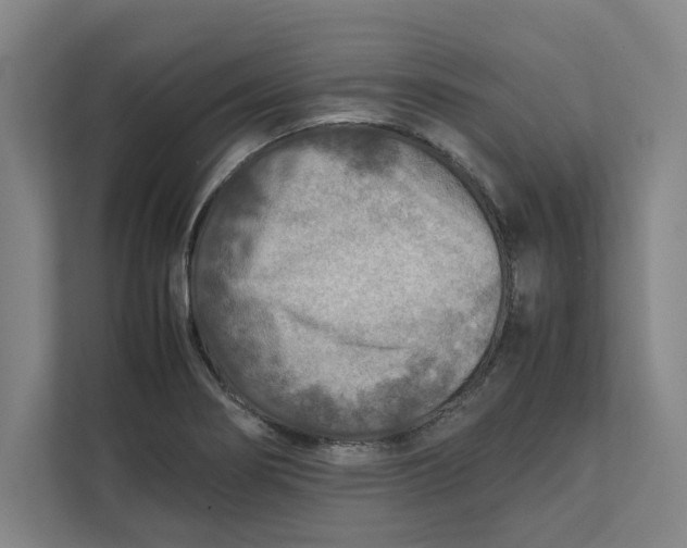 X0000112411274200909041349