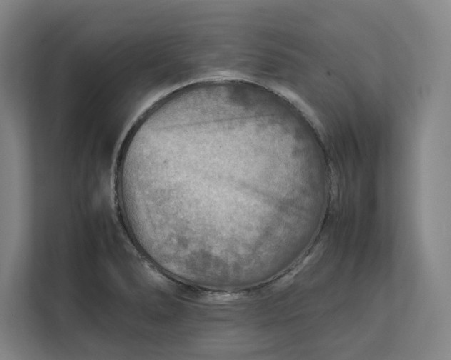 X0000112411278200909041349