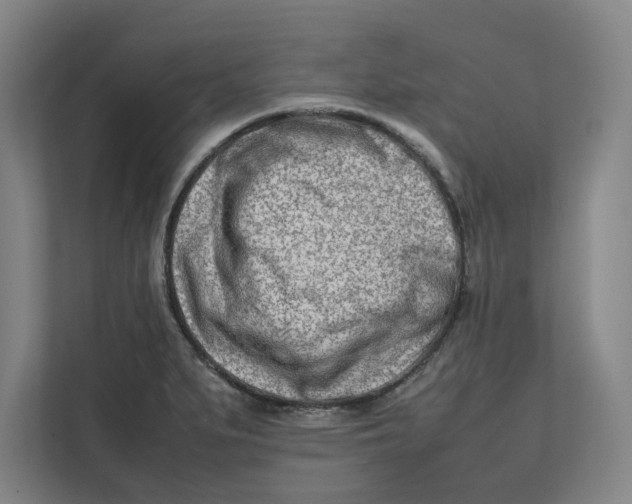 X0000112411279200909041349