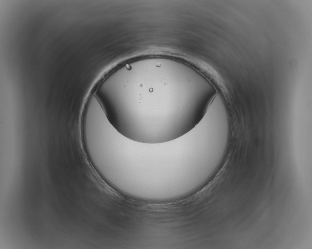 X0000112411280200909041349