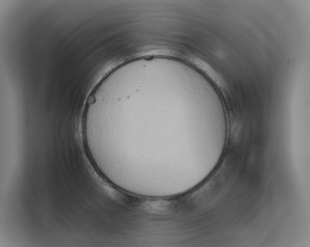 X0000112411282200909041349