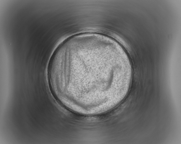 X0000112411283200909041349