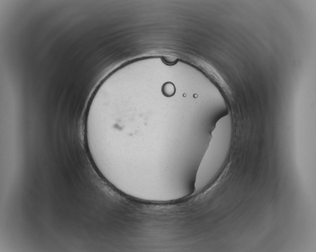 X0000112411284200909041349