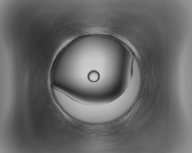 X0000112411285200909041349