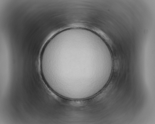 X0000112411286200909041349