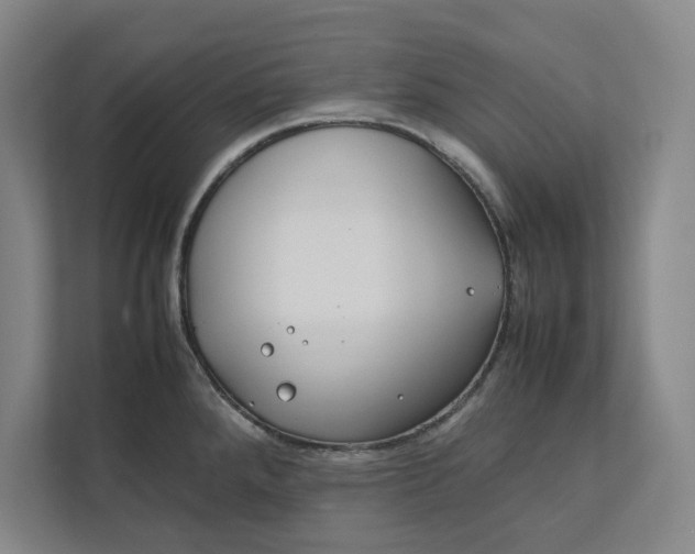 X0000112411288200909041349