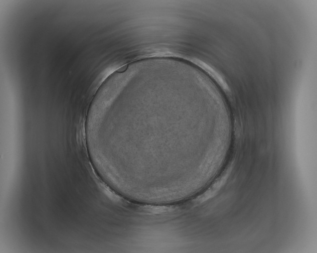 X0000112411289200909041349