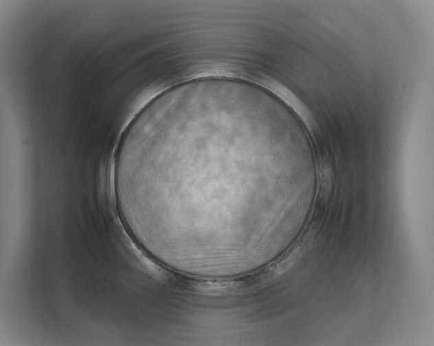 X0000112411290200909041349