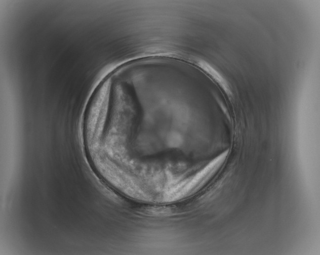 X0000112411291200909041349