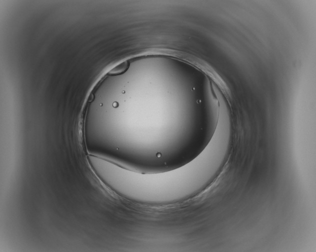 X0000112411292200909041349