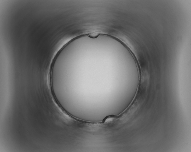 X0000112411293200909041349