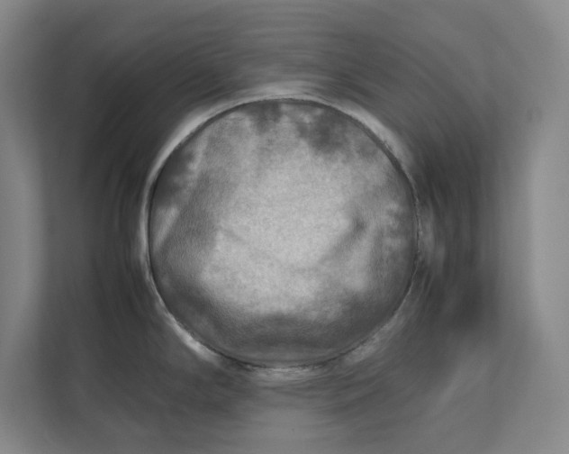 X0000112411294200909041349