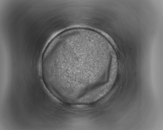 X0000112411295200909041349