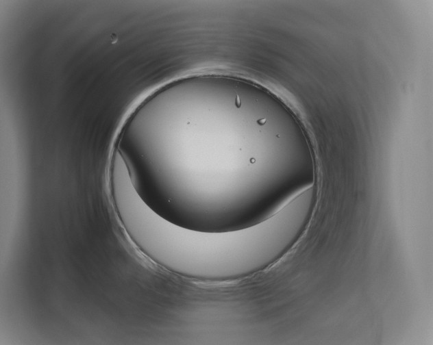 X0000112411296200909041349