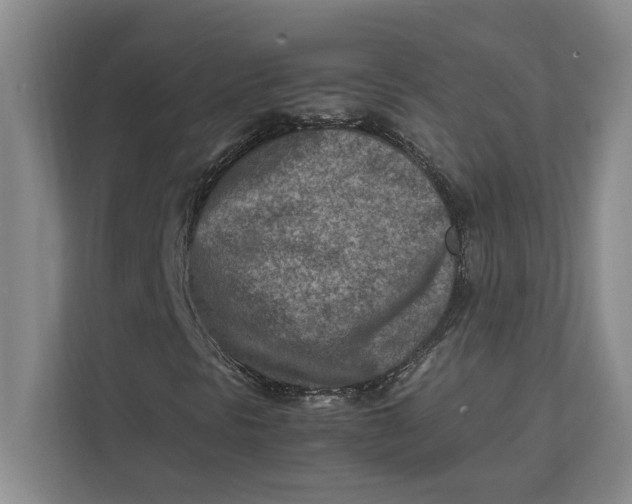 X0000112411297200909041348