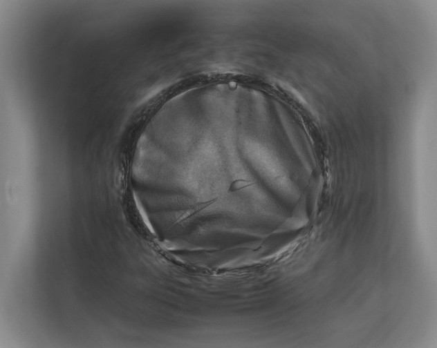 X0000112411303200909041348