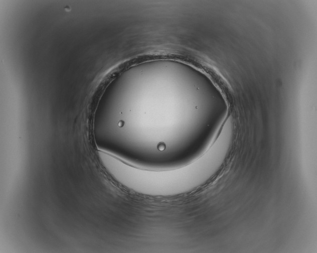 X0000112411304200909041348