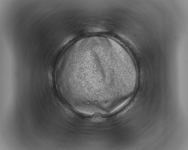 X0000112411305200909041348