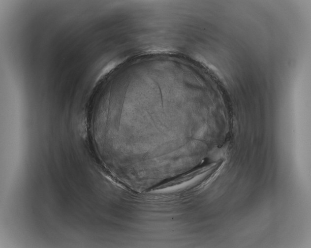 X0000112411306200909041348