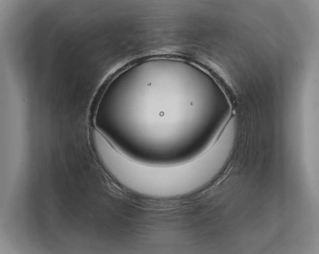 X0000112411308200909041348