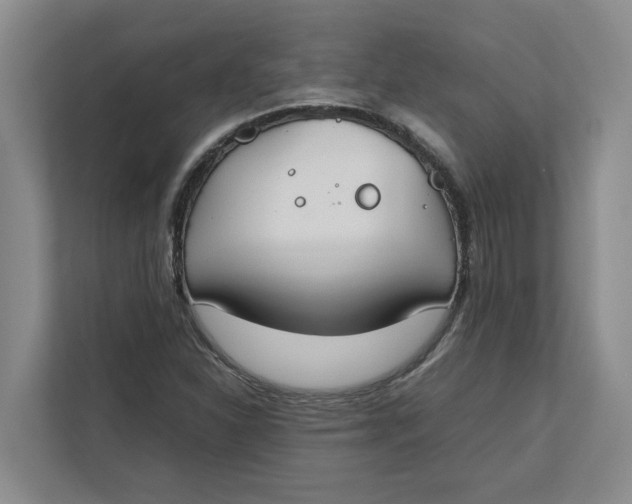 X0000112411310200909041348