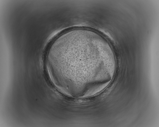 X0000112411311200909041348