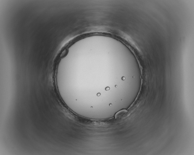 X0000112411312200909041348