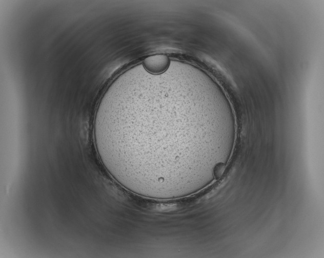 X0000112411313200909041348