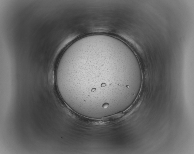 X0000112411317200909041348