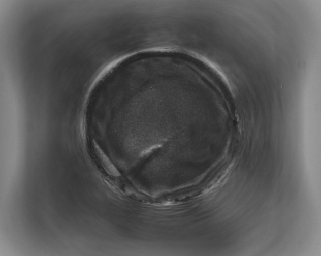 X0000112411319200909041348