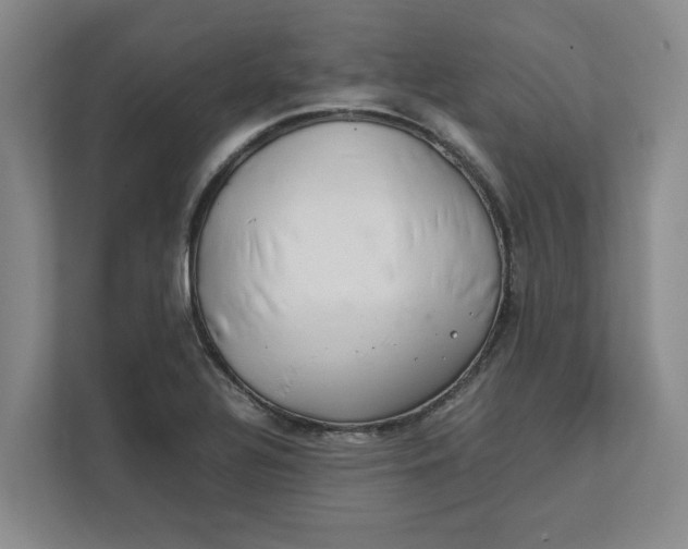 X0000112411320200909041348