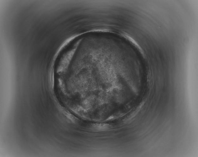 X0000112411323200909041348